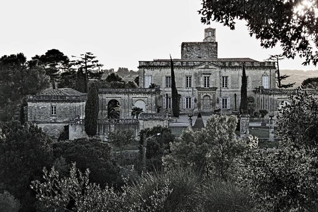 Studio Entre Cevennes Et Camargue Montfrin Zewnętrze zdjęcie
